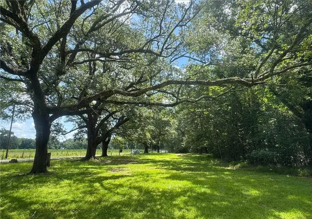 Photo 2 of Land for sale at Cowart Rd, Bush, LA 70431 | MLS# 2562910 | Listing updated on 2026-06-14