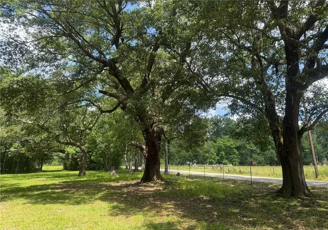 Photo 3 of Land for sale at Cowart Rd, Bush, LA 70431 | MLS# 2562910 | Listing updated on 2026-06-14
