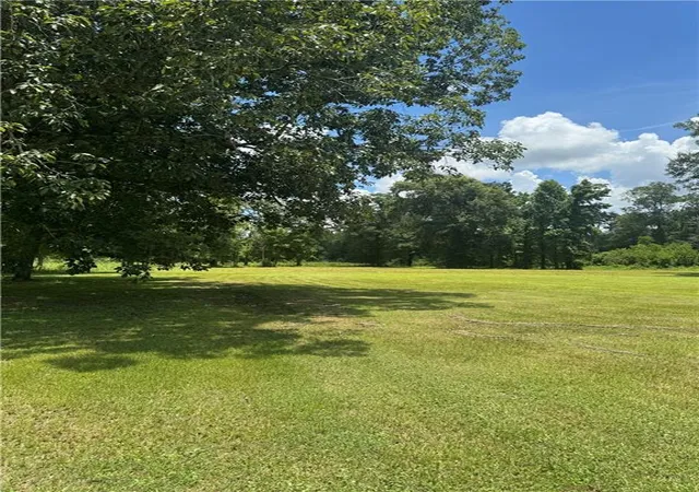 Photo 2 of Land for sale at 49090 Stafford Rd, Tickfaw, LA 70466 | MLS# 2562966 | Listing updated on 2026-08-04