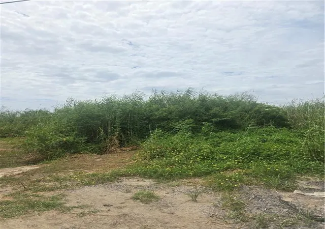 1st image of Lots 1 4 Quince Ln, Grand Isle, LA 70358 | MLS# 2562730