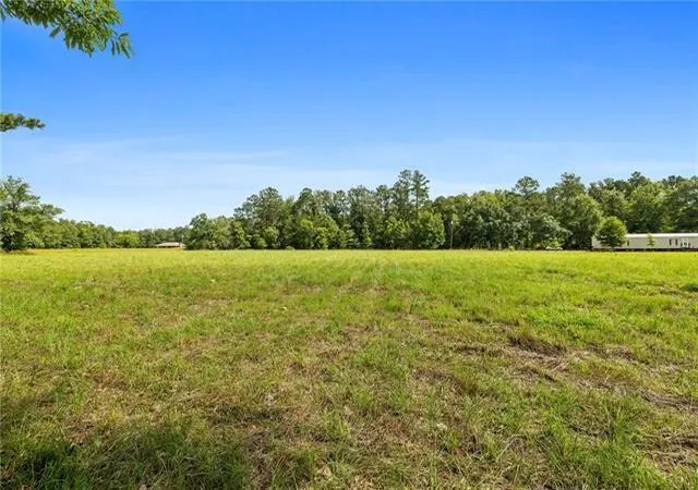 Homes for sale in Holden, LA | 30235 George White Rd, Holden, LA 70744 | MLS# 2563423