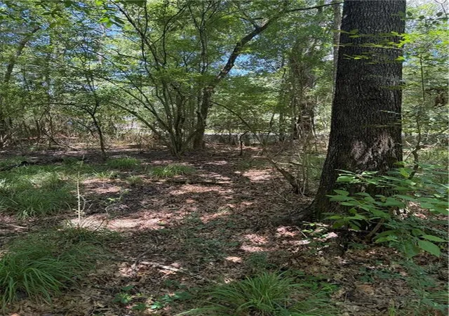 15th image of Port Hudson Pride Rd Rd, Zachary, LA 70791 | MLS# 2563435