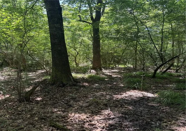 Photo 3 of Land for sale at Port Hudson Pride Rd, Zachary, LA 70791 | MLS# 2563435 | Listing updated on 2026-08-05