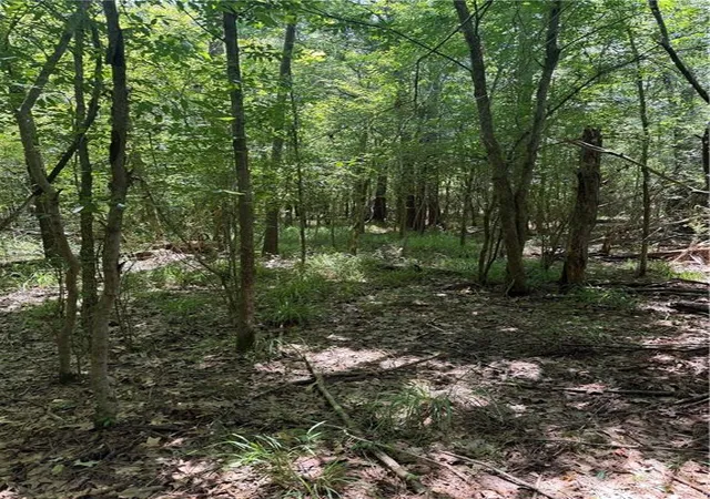 Photo 3 of Land for sale at Port Hudson Pride Rd, Zachary, LA 70791 | MLS# 2563435 | Listing updated on 2026-08-05