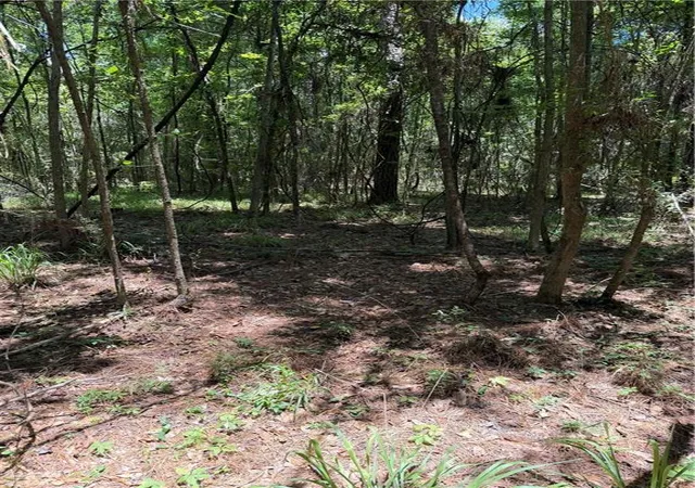 Photo 3 of Land for sale at Reames Rd, Zachary, LA 70791 | MLS# 2563443 | Listing updated on 2026-08-05