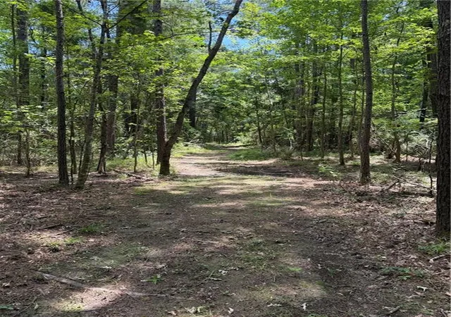 Photo 4 of Land for sale at Reames Rd, Zachary, LA 70791 | MLS# 2563443 | Listing updated on 2026-08-05