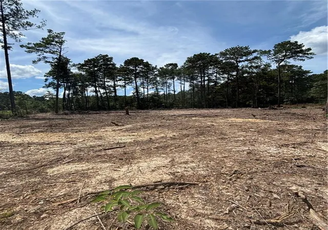 Photo 1 of Land for sale at 32061 Pea Ridge Rd, Albany, LA 70711 | MLS# 2563680 | Listing updated on 2026-08-28