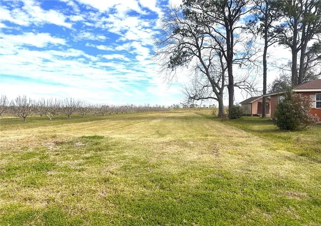 Homes for sale in Belle Chasse, LA | 14159 B Hwy 23 Hwy, Belle Chasse, LA 70037 | MLS# 2563844
