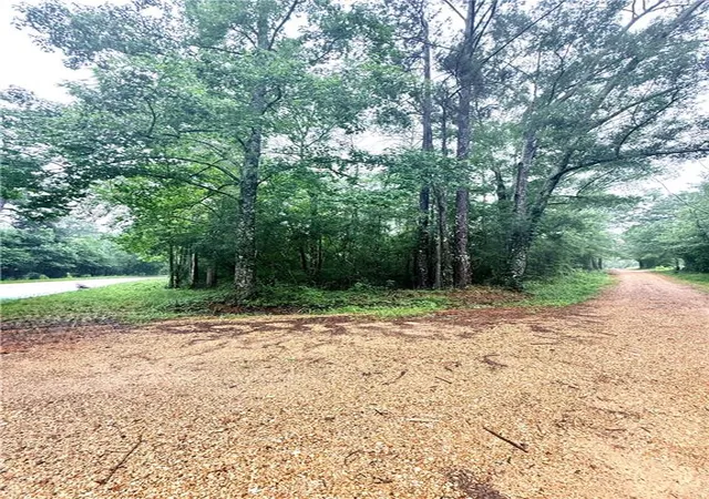 Homes for sale in Mount Hermon, LA | 4297 Acres Pleasant Hill Rd, Mount Hermon, LA 70450 | MLS# 2564056
