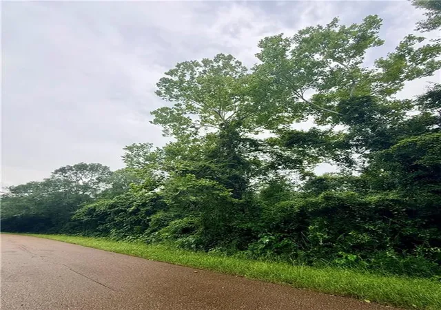 Homes for sale in Mount Hermon, LA | 4297 Acres Pleasant Hill Rd, Mount Hermon, LA 70450 | MLS# 2564056