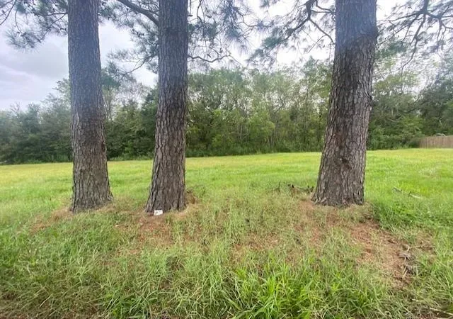 Photo 2 of Land for sale at 1641 Heights Dr, Saint Bernard, LA 70085 | MLS# 2564231 | Listing updated on 2026-07-09