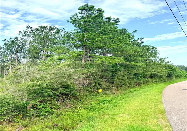 Homes for sale in Franklinton, LA | Lot1 A 5ac Lee Rd, Franklinton, LA 70438 | MLS# 2564060