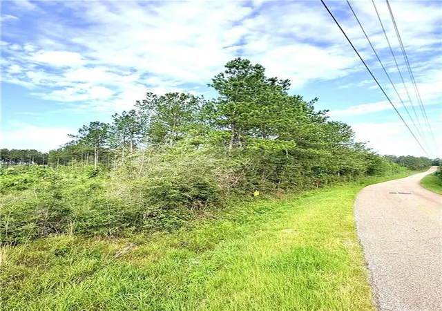 Homes for sale in Franklinton, LA | Lot1-A 5Ac Lee Rd, Franklinton, LA 70438 | MLS# 2564060