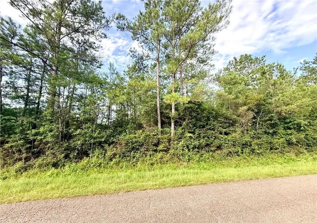 Homes for sale in Franklinton, LA | Lot1 B 4ac Lee Rd, Franklinton, LA 70438 | MLS# 2564061