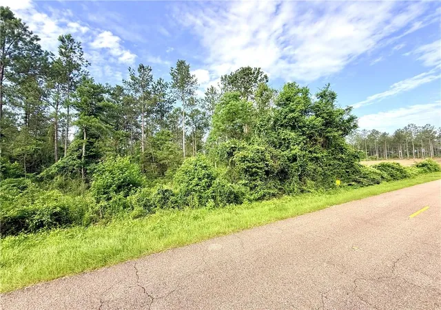 Homes for sale in Franklinton, LA | Lot1-B 4Ac Lee Rd, Franklinton, LA 70438 | MLS# 2564061