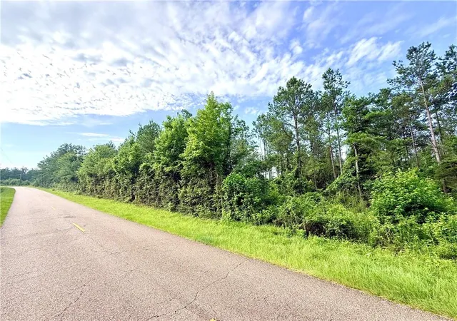 Homes for sale in Franklinton, LA | Lot2 A 442ac Lee Rd, Franklinton, LA 70438 | MLS# 2564062