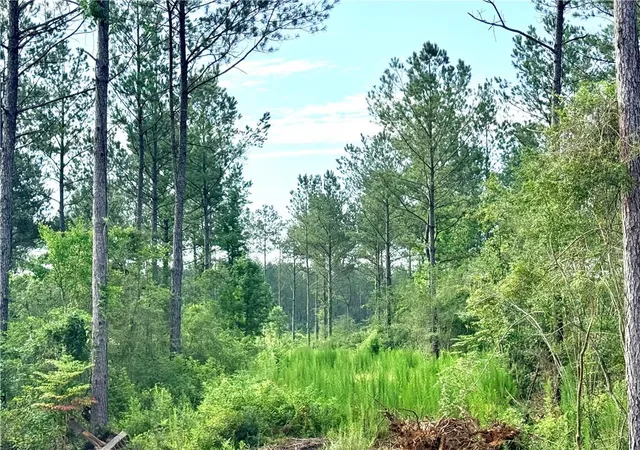 Homes for sale in Franklinton, LA | Lot2 B 308ac Lee Rd, Franklinton, LA 70438 | MLS# 2564064