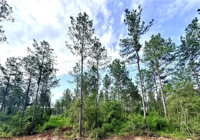 Homes for sale in Franklinton, LA | Lot2-B 308Ac Lee Rd, Franklinton, LA 70438 | MLS# 2564064