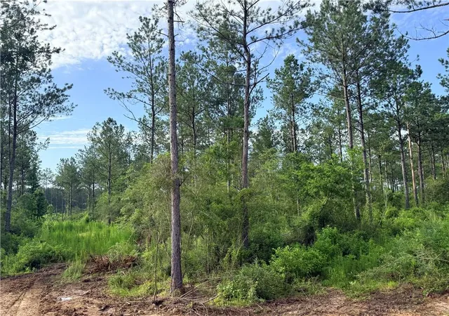 Homes for sale in Franklinton, LA | Lot2-B 308Ac Lee Rd, Franklinton, LA 70438 | MLS# 2564064