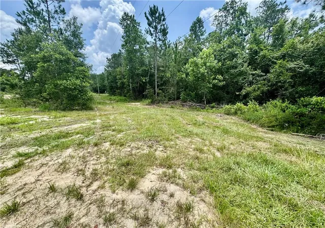 4th image of 27255 W Bull Creek Dr, Perkinston, MS 39573 | MLS# 2564851