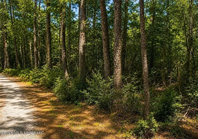 1st image of 17th Ave, Franklinton, LA 70438 | MLS# 2564895