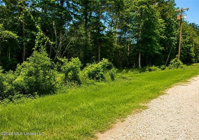 Photo 3 of Land for sale at 17th Avenue, Franklinton, LA 70438 | MLS# 2564895 | Listing updated on 2026-06-26