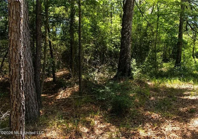 4th image of 17th Ave, Franklinton, LA 70438 | MLS# 2564895
