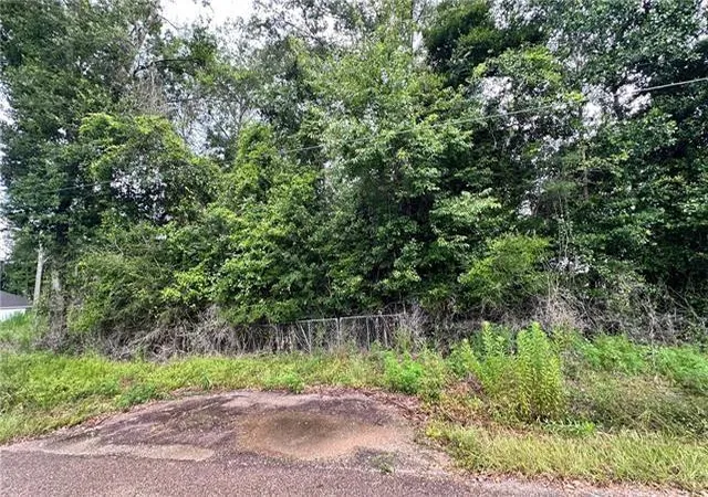 Homes for sale in Lacombe, LA | Lot 13, 14, 15 Hwy 434 Hwy, Lacombe, LA 70445 | MLS# 2564892