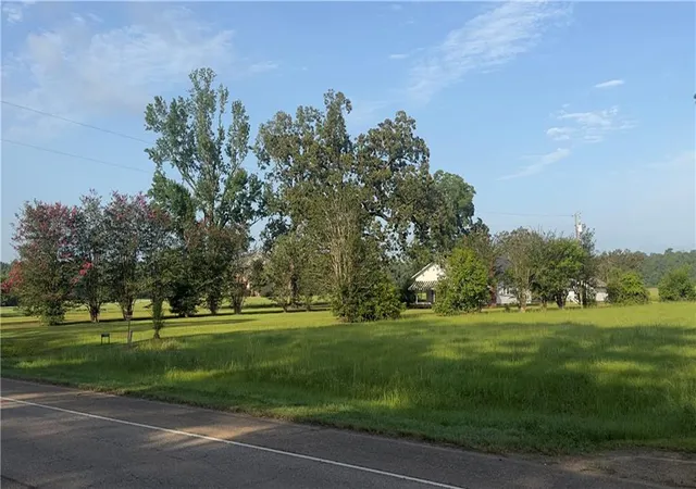 Homes for sale in Roseland, LA | 64559 Hwy 51, Roseland, LA 70456 | MLS# 2564991