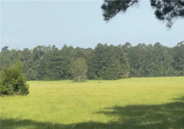 Homes for sale in Roseland, LA | 64559 Hwy 51, Roseland, LA 70456 | MLS# 2564991