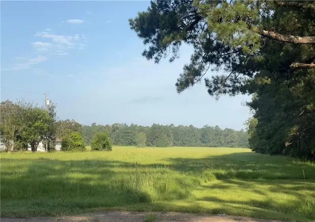 Homes for sale in Roseland, LA | 64559 Hwy 51, Roseland, LA 70456 | MLS# 2564991