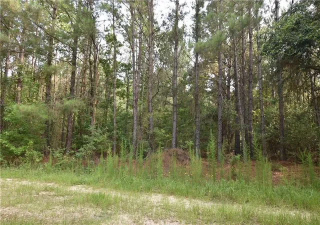 Homes for sale in Pearl River, LA | 00 Lovern Rd, Pearl River, LA 70452 | MLS# 2564939