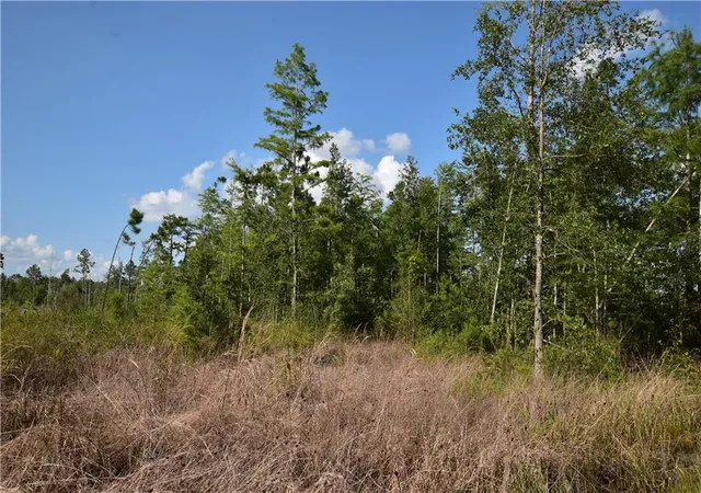 Homes for sale in Pearl River, LA | 00 Lovern Rd, Pearl River, LA 70452 | MLS# 2564939