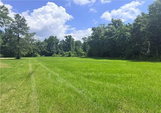 Homes for sale in Franklinton, LA | 2464 Greenlaw Ave, Franklinton, LA 70438 | MLS# 2564242