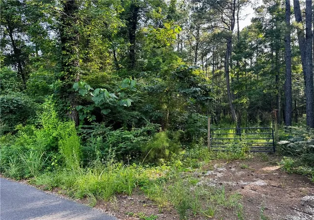 12th image of Parcel 3 Wardline Rd, Bogalusa, LA 70427 | MLS# 2565168