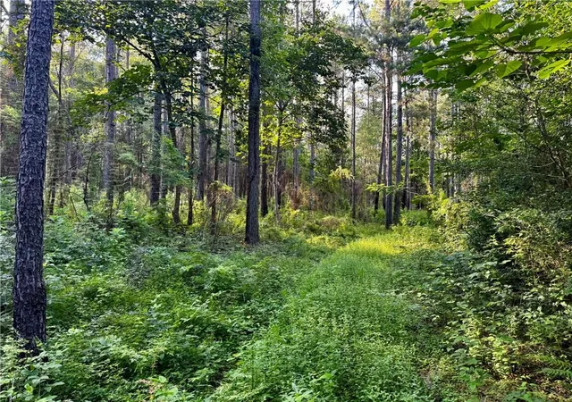 1st image of Parcel 3 Wardline Rd, Bogalusa, LA 70427 | MLS# 2565168