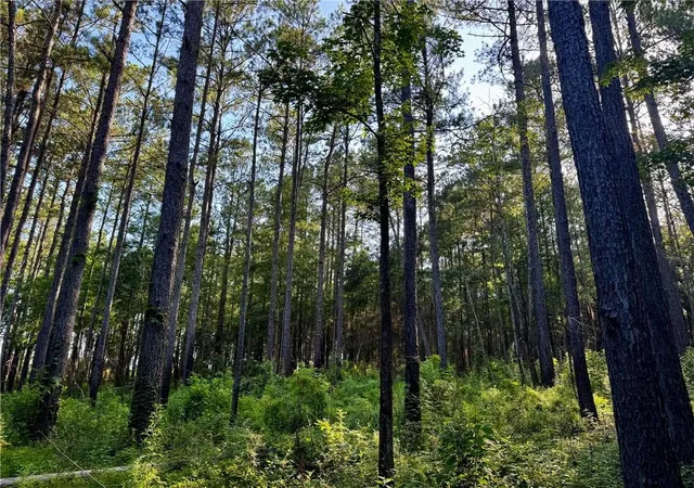 Photo 3 of Land for sale at Parcel 3 Ward Line Rd, Bogalusa, LA 70427 | MLS# 2565168 | Listing updated on 2026-07-11