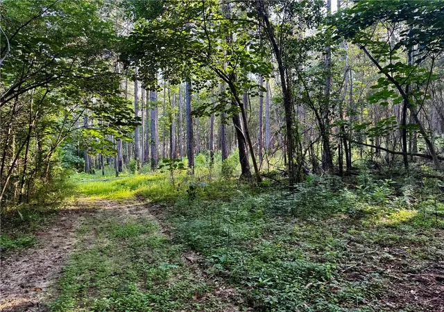 Photo 3 of Land for sale at Parcel 3 Ward Line Rd, Bogalusa, LA 70427 | MLS# 2565168 | Listing updated on 2026-07-11