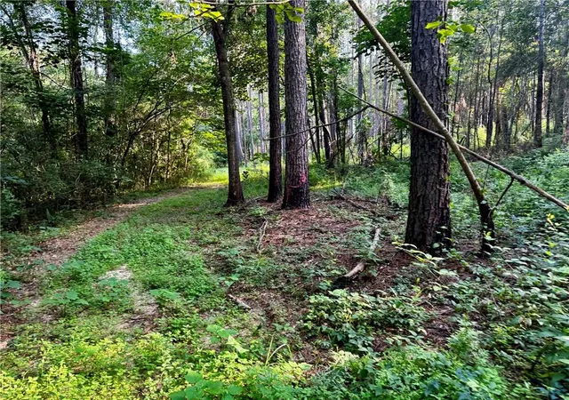 Photo 4 of Land for sale at Parcel 3 Ward Line Rd, Bogalusa, LA 70427 | MLS# 2565168 | Listing updated on 2026-07-11