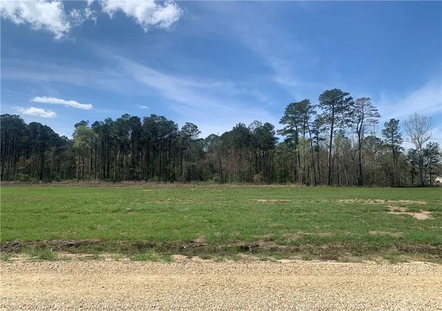 Homes for sale in Independence, LA | Lot A-5 Billy Joe Rd, Independence, LA 70443 | MLS# 2565429