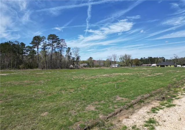 Homes for sale in Independence, LA | Lot A-5 Billy Joe Rd, Independence, LA 70443 | MLS# 2565429