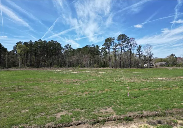 Homes for sale in Independence, LA | Lot A-3 Billy Joe Rd, Independence, LA 70443 | MLS# 2565423