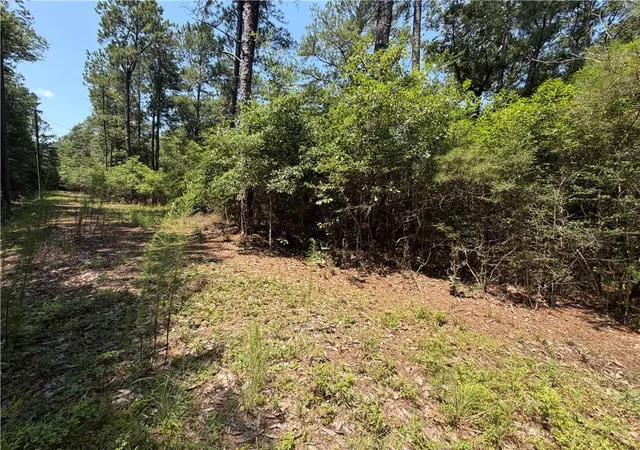 Photo 2 of Land for sale at 0 Marilyn Dr, Bush, LA 70431 | MLS# 2565801 | Listing updated on 2026-07-29