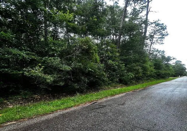 Photo 4 of Land for sale at 0 W Ruth Rd, Lacombe, LA 70445 | MLS# 2565446 | Listing updated on 2026-07-02