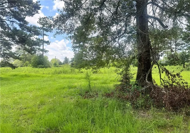 Photo 4 of Sale Pending at 72045 S Lewiston Rd, Kentwood, LA 70444 | MLS# 2565912 | Listing updated on 2026-08-05
