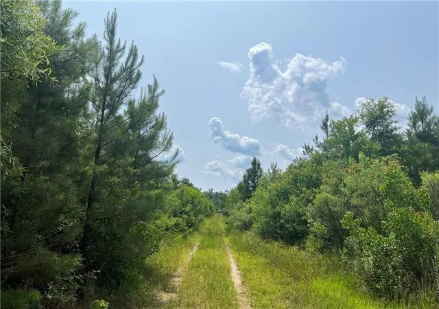 Photo 1 of Land for sale at 1439 Leonard Chapel Rd, Independence, LA 70443 | MLS# 2565976 | Listing updated on 2026-07-02