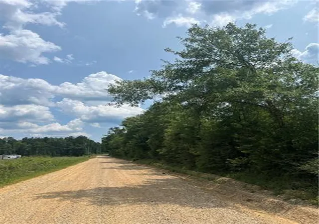 Photo 3 of Land for sale at 1439 Leonard Chapel Rd, Independence, LA 70443 | MLS# 2565976 | Listing updated on 2026-07-02