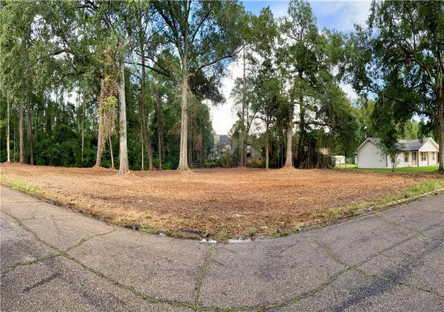 Photo 2 of Land for sale at 0 Beckie Dr, Hammond, LA 70401 | MLS# 2565154 | Listing updated on 2026-07-06