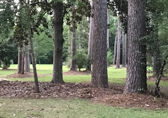 3rd image of 999 Country Club Dr, Covington, LA 70433 | MLS# 2566114