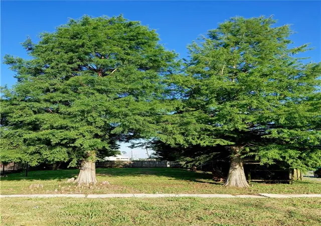 Photo 2 of Land for sale at 5240 Pasteur Blvd, New Orleans, LA 70122 | MLS# 2563521 | Listing updated on 2026-08-04